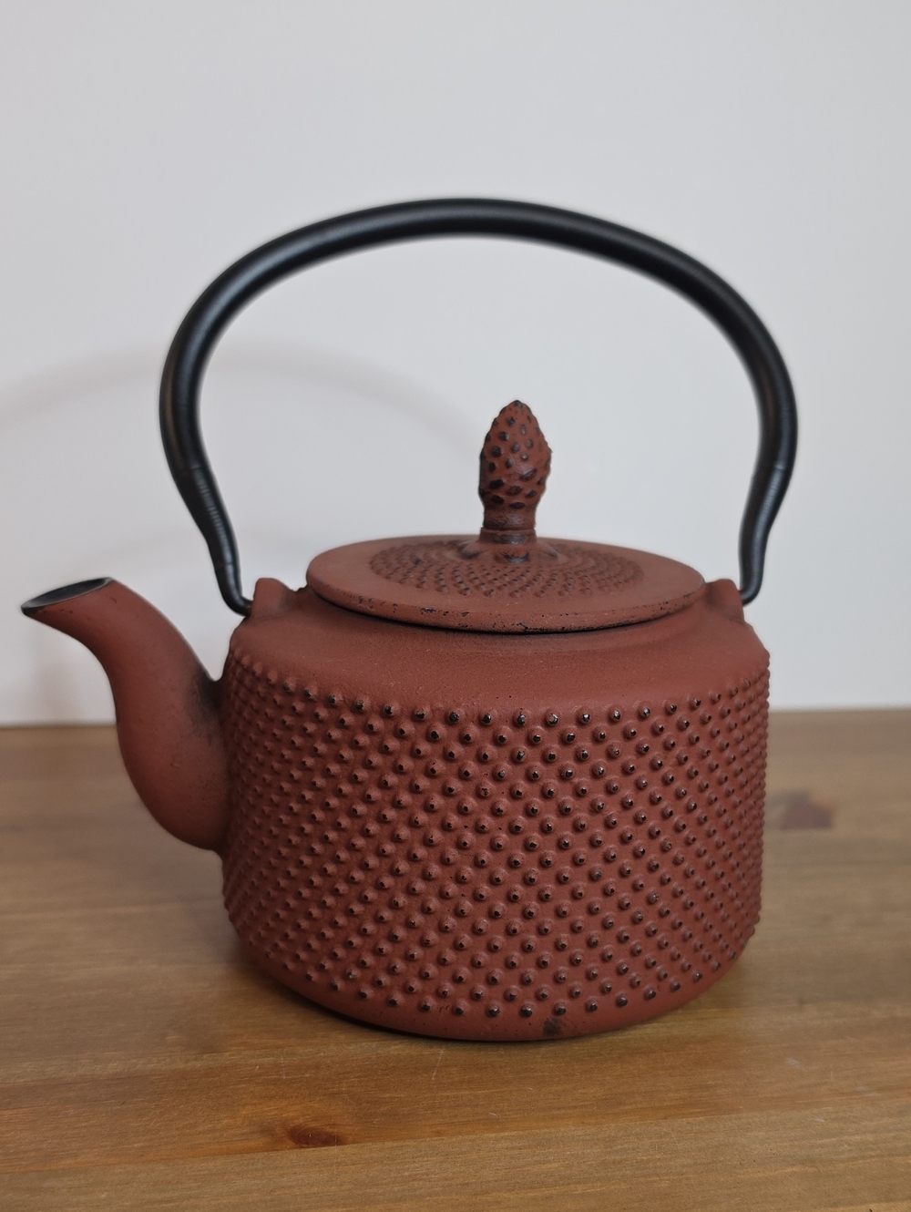 Vintage Cast Iron Japanese Textured Teapot with Black Handle